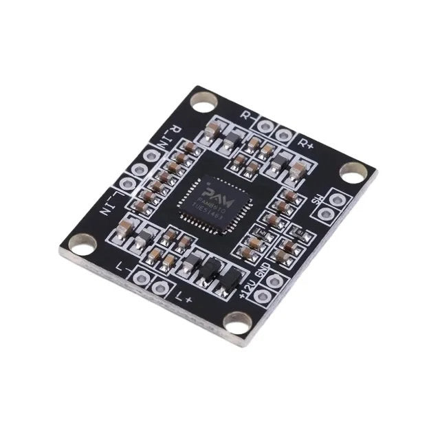 PAM8610 Module